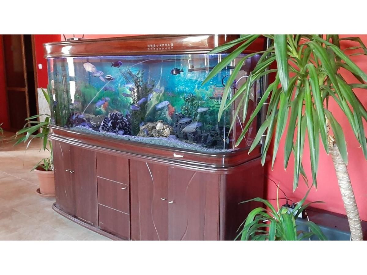 Family Hotel Favourite Obzor Esterno foto